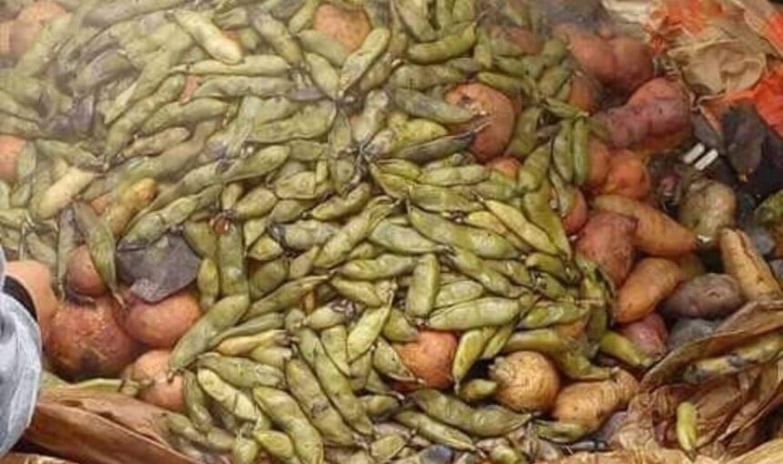 Sabores de la Tierra: Pachamanca y Huatia Ancestral