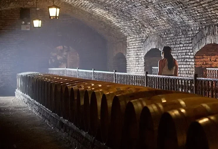 Chile Inolvidable: Nieve, Viñedo y Atardeceres – 6D/5N